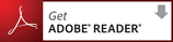 get ADOBE(R) FLASH (R) PLAYER